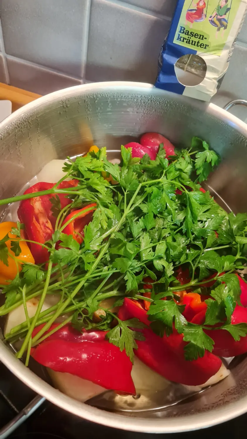 kochen von Orthovio & Orthomedi