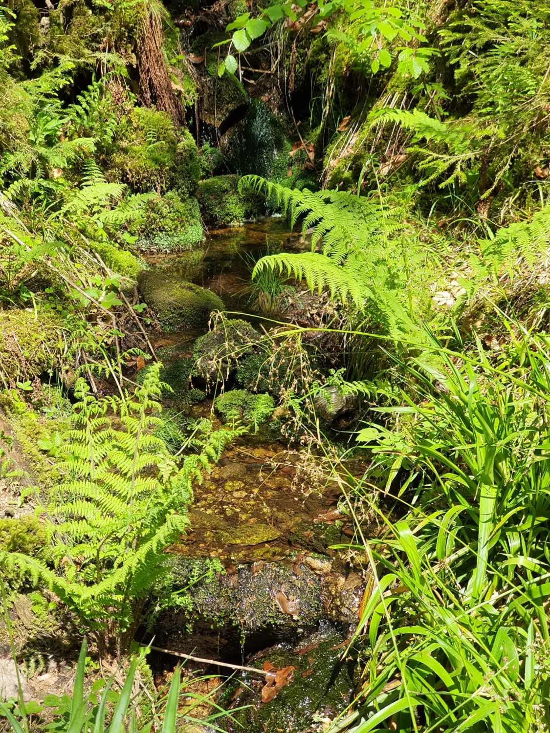 Natur erleben 